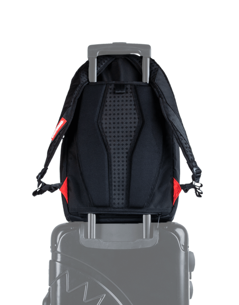 SHARK UNIVERSE