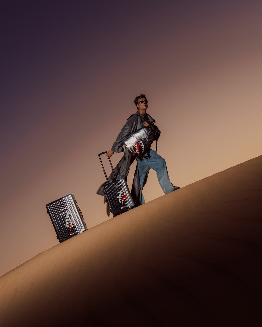 CHROME SPECTRE CARRY-ON LUGGAGE