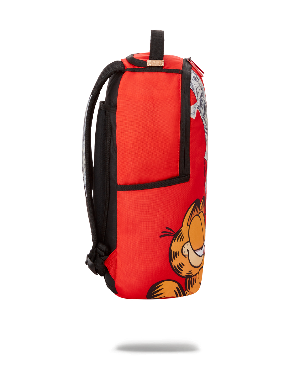GARFIELD CAT SCRATCH (DLXR)