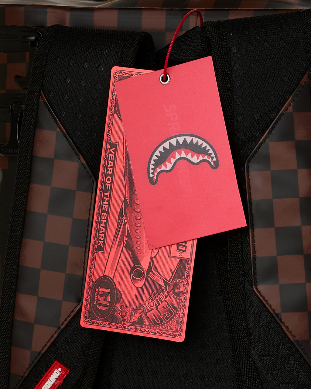 SHARK COOLER BACKPACK