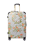 A.I. AFRICAN INTELLIGENCE ELEGANT ENERGY SHARKITECTURE FULL SIZE LUGGAGE - SANDFLOWER COLLAB