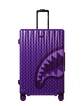 ALL SYSTEMS GO FULL-SIZE LUGGAGE