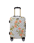 A.I. AFRICAN INTELLIGENCE ELEGANT ENERGY SHARKITECTURE CARRY-ON LUGGAGE - SANDFLOWER COLLAB