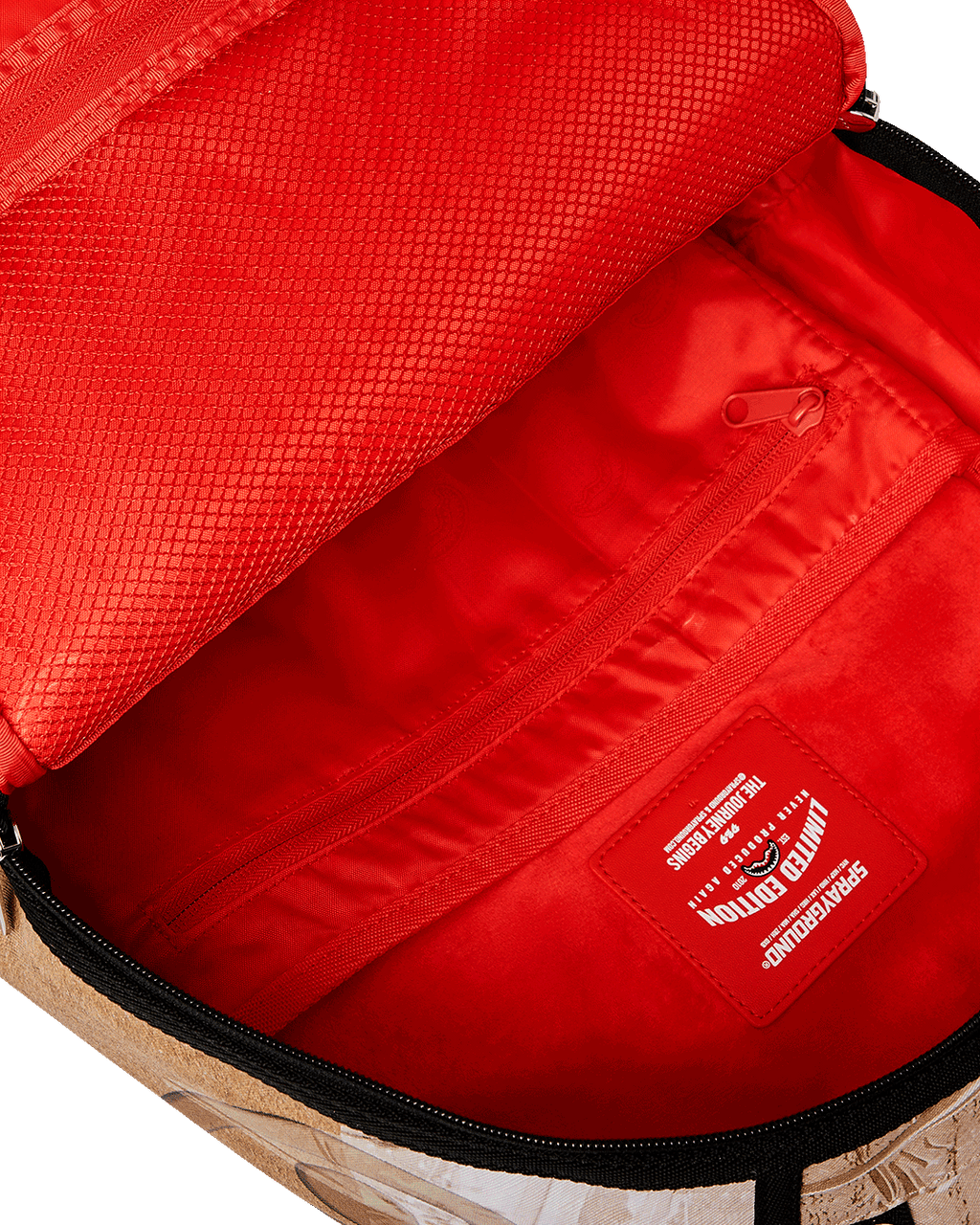 OVERNIGHT DELIVERY BACKPACK